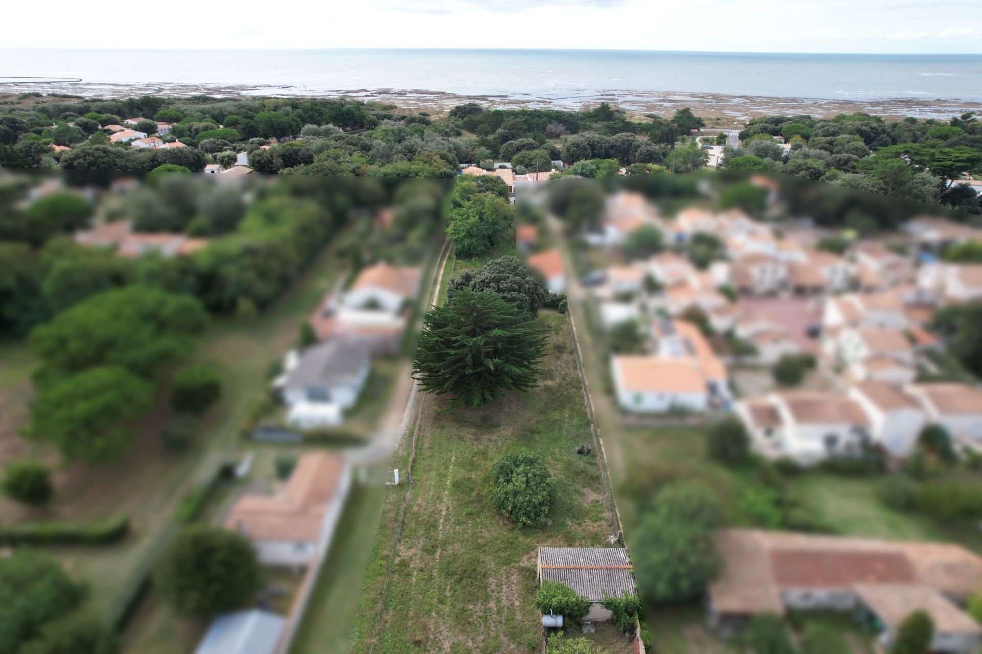 terrain en vente sur ST PIERRE D OLERON (17310)