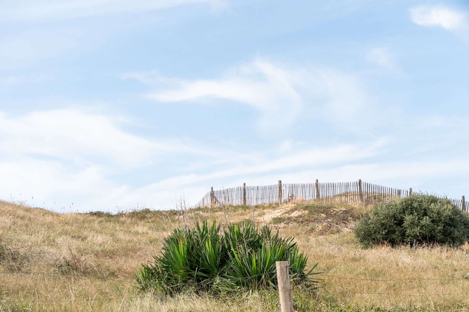 terrain en vente sur ST PIERRE D OLERON (17310)