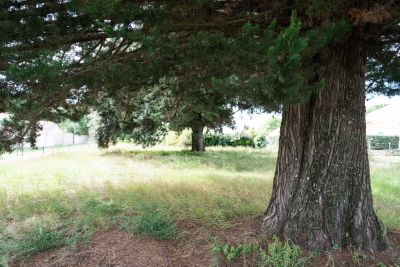 Vente Terrain Saint-Pierre-d'Oléron 2315 m²