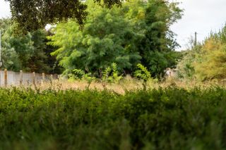 terrain en vente sur ST PIERRE D OLERON (17310)