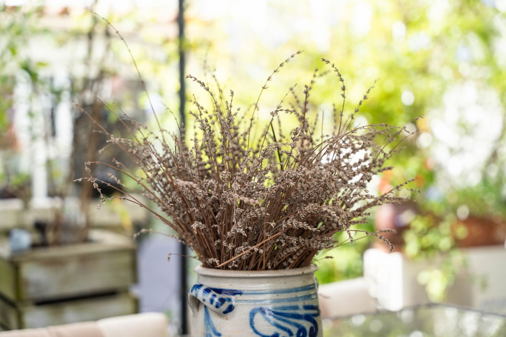 maison 6 Pièces en vente sur ST DENIS D OLERON (17650)