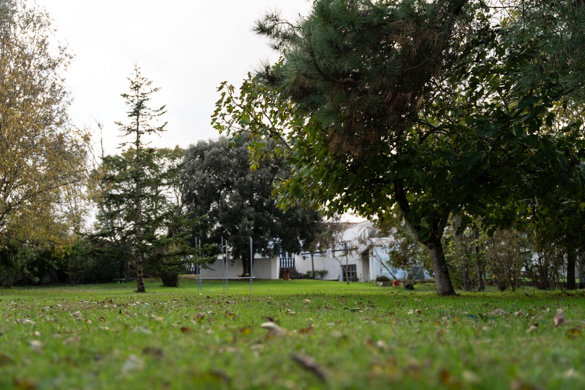 house 5 Rooms for sale on LE CHATEAU D OLERON (17480)