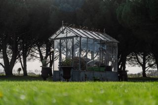 house 9 Rooms for sale on ST PIERRE D OLERON (17310)