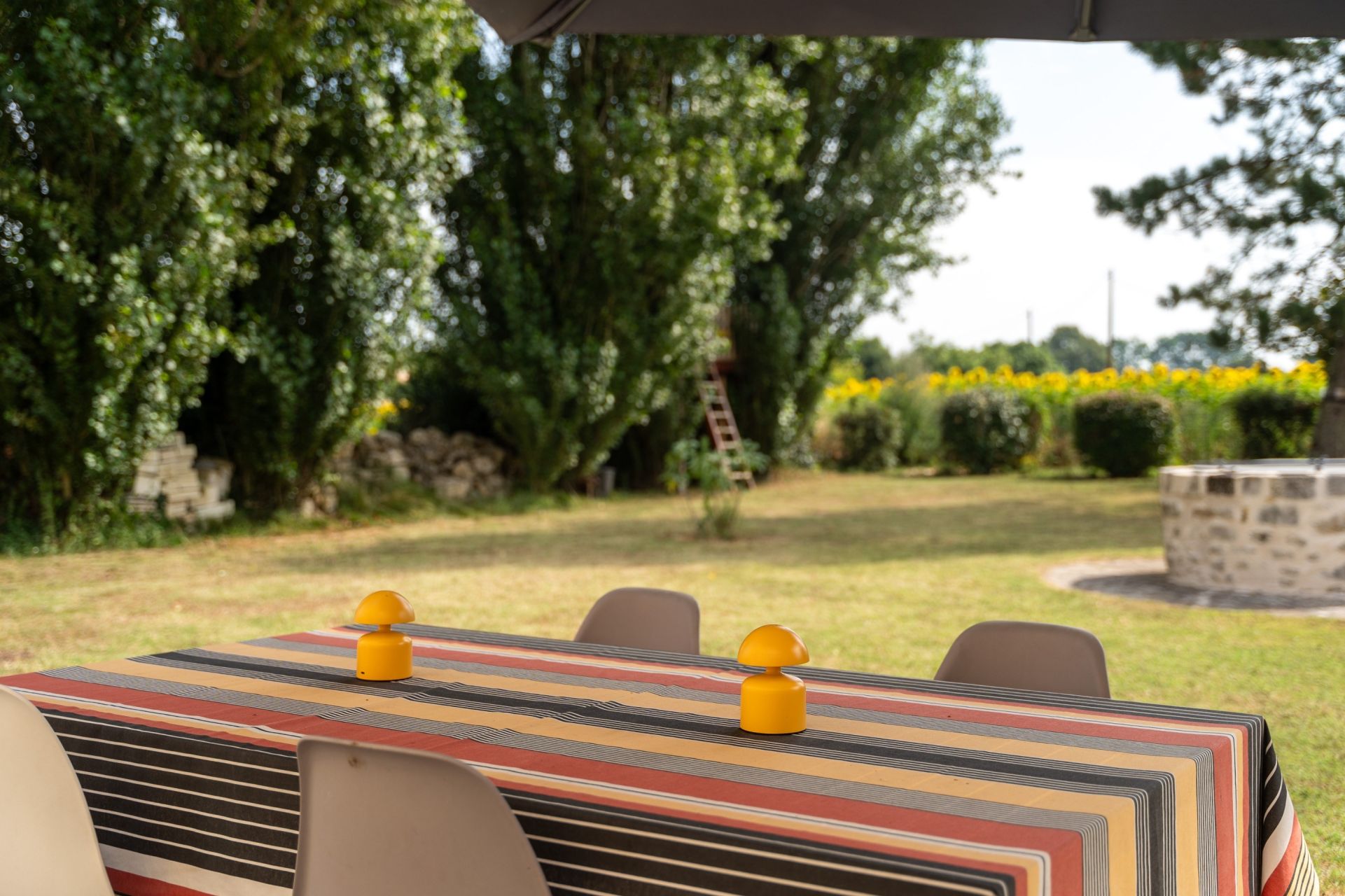 propriété 12 Pièces en vente sur LA GRIPPERIE ST SYMPHORIEN (17620)