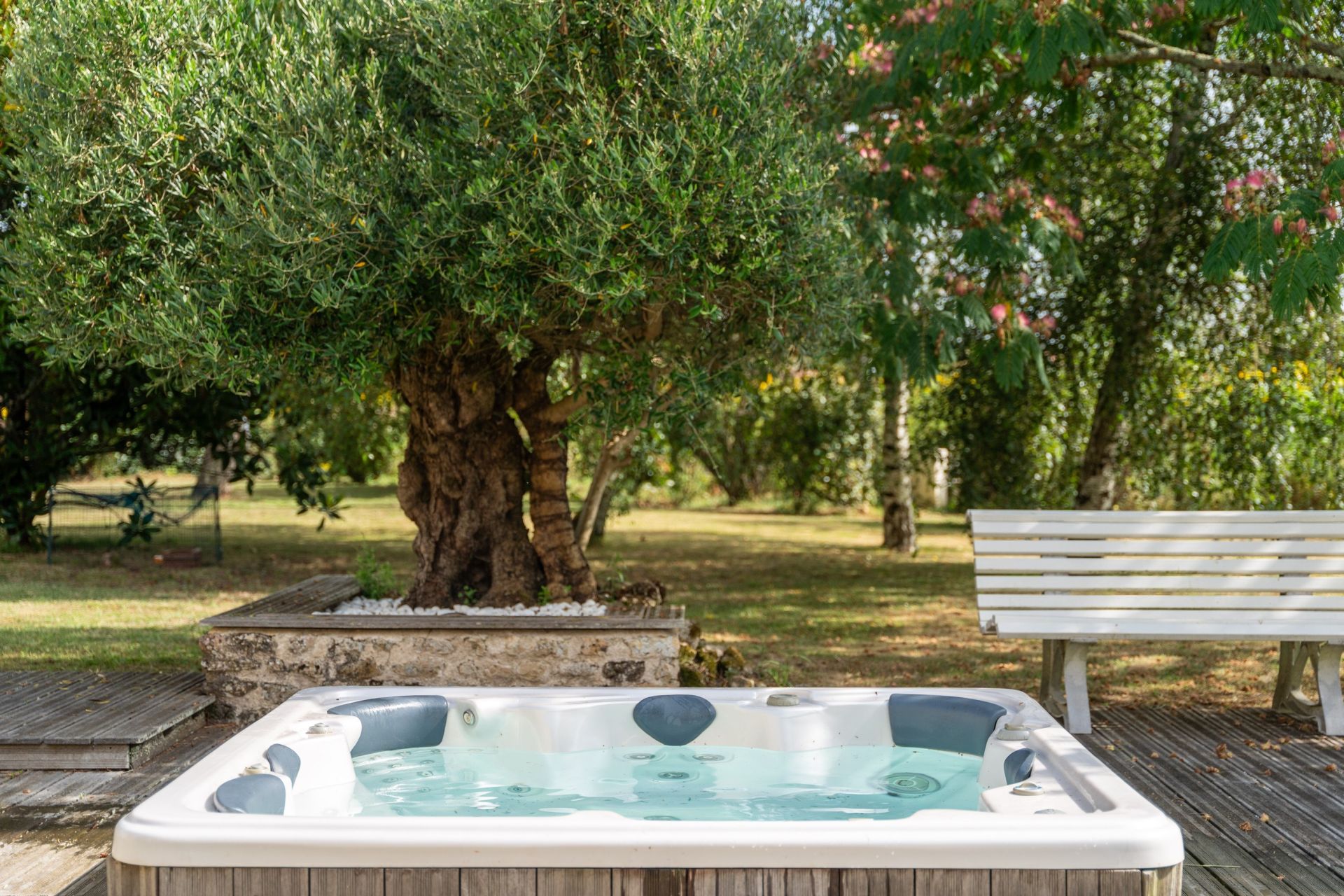 propriété 12 Pièces en vente sur LA GRIPPERIE ST SYMPHORIEN (17620)