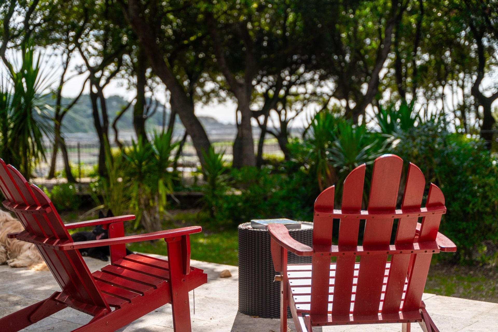 maison 5 Pièces en vente sur VAUX SUR MER (17640)