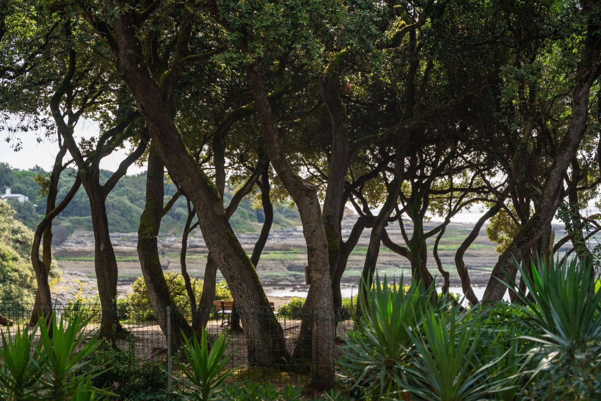 maison 5 Pièces en vente sur VAUX SUR MER (17640)