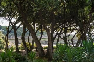 maison 5 Pièces en vente sur VAUX SUR MER (17640)