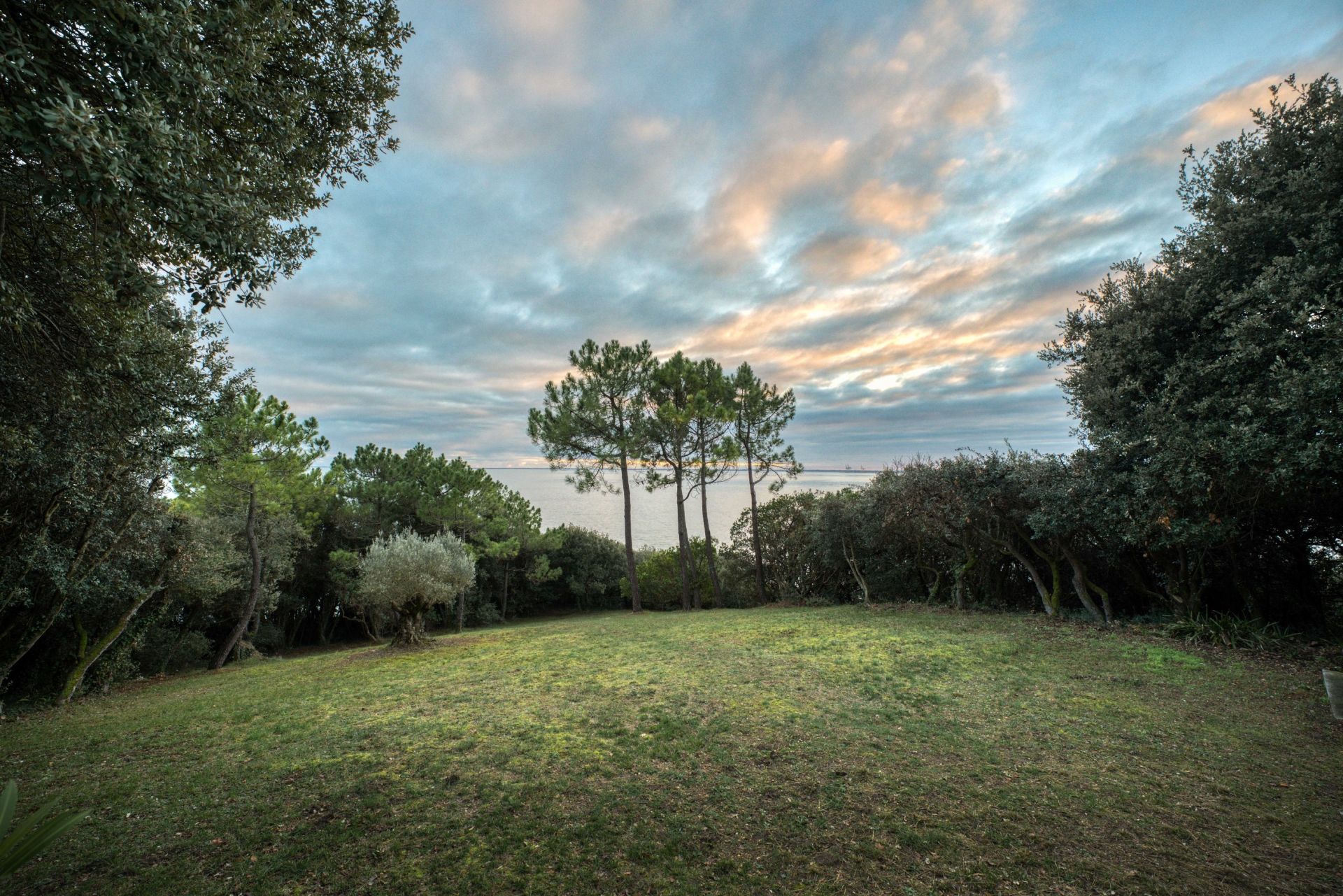 house 5 Rooms for sale on ST GEORGES DE DIDONNE (17110)