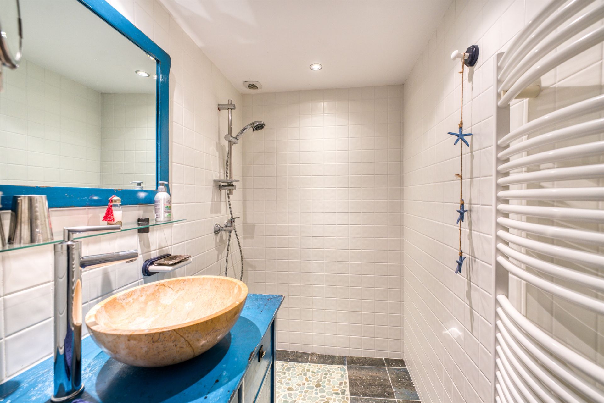 maison 12 Pièces en vente sur NIEULLE SUR SEUDRE (17600)