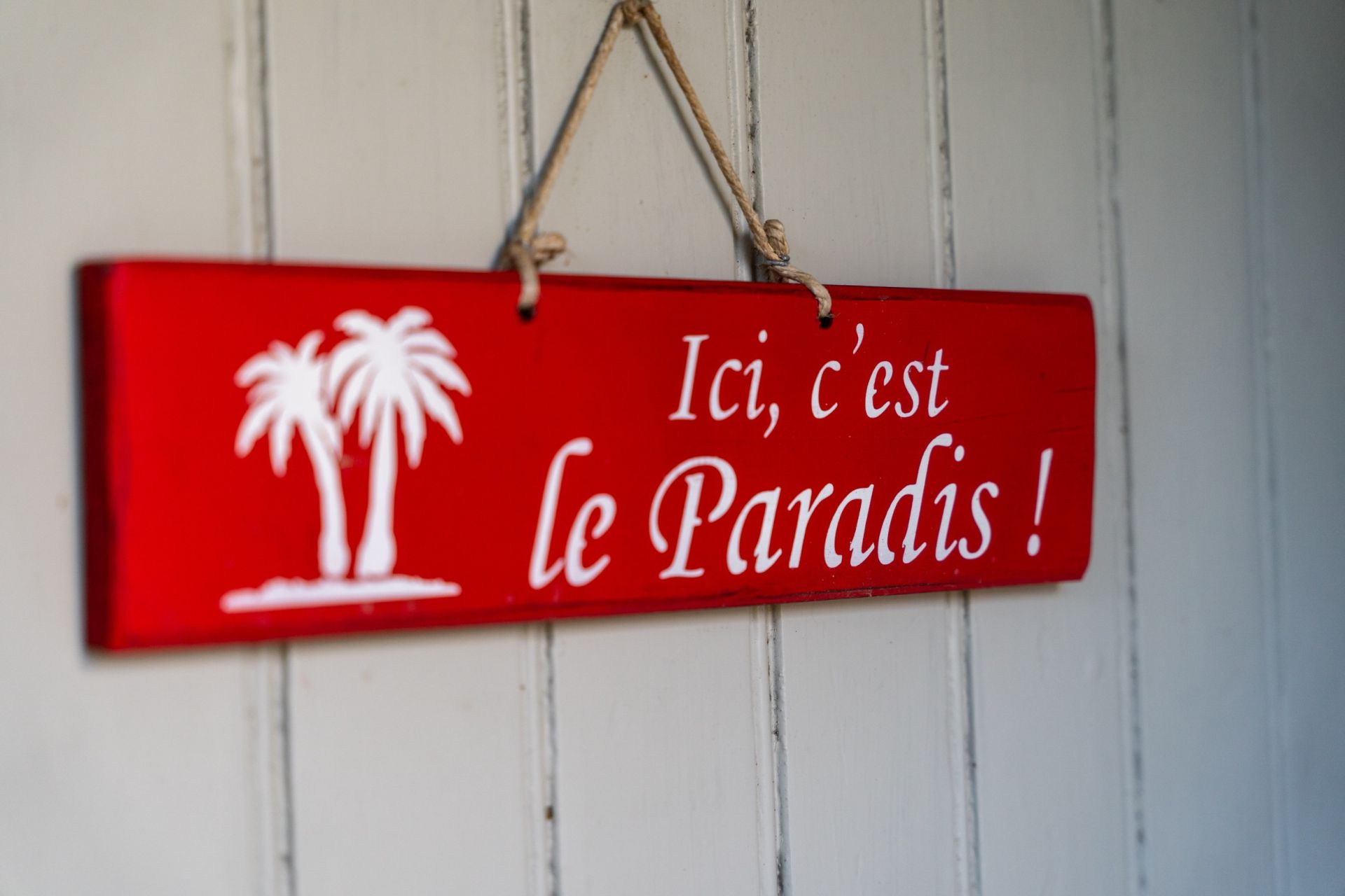 maison 12 Pièces en vente sur NIEULLE SUR SEUDRE (17600)