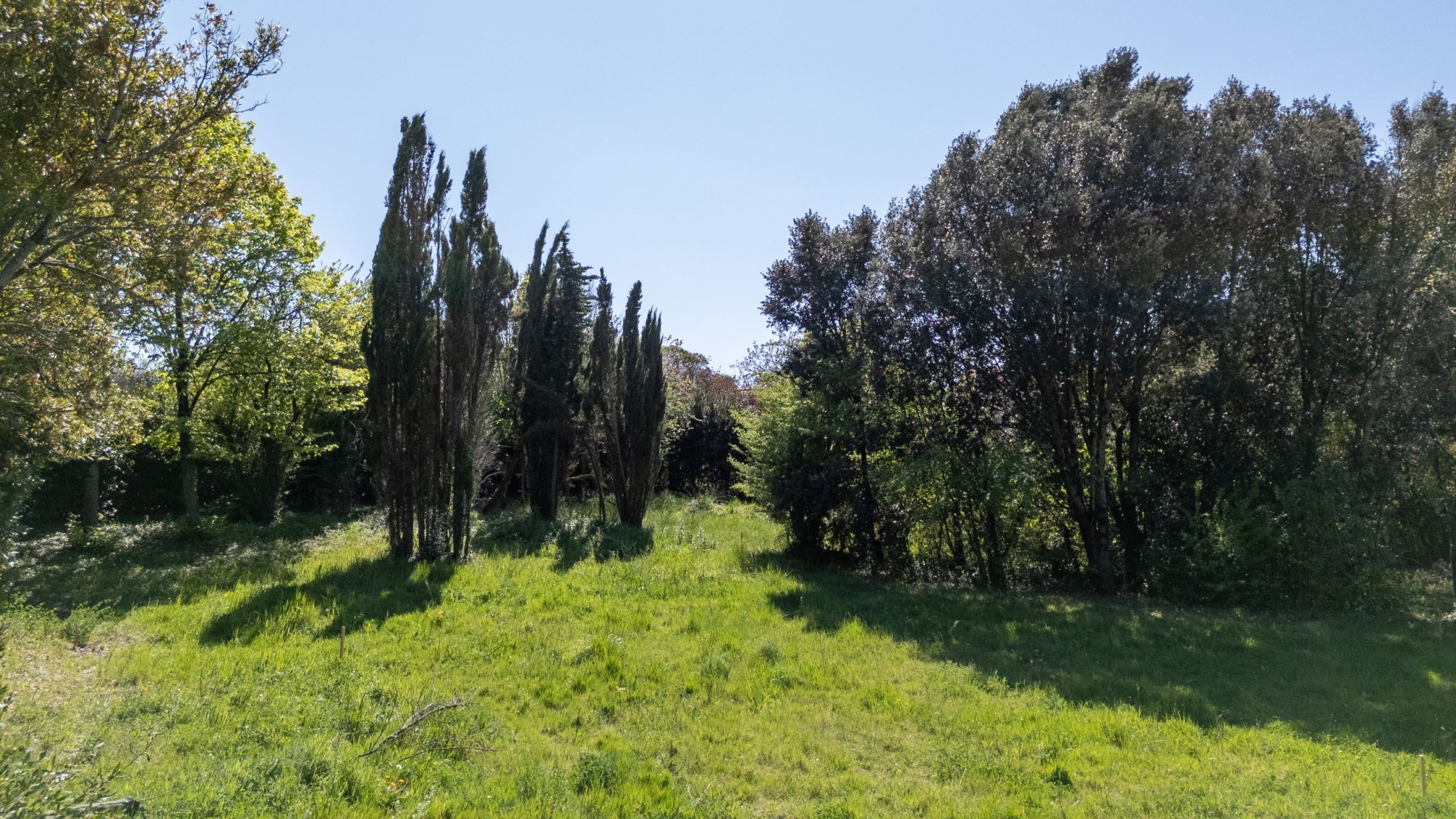 land for sale on VAUX SUR MER (17640)