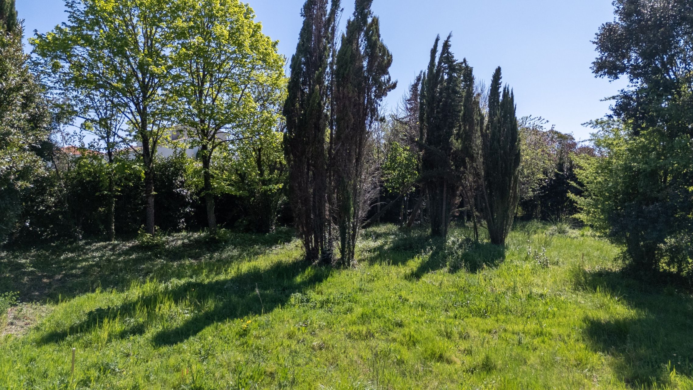 land for sale on VAUX SUR MER (17640)