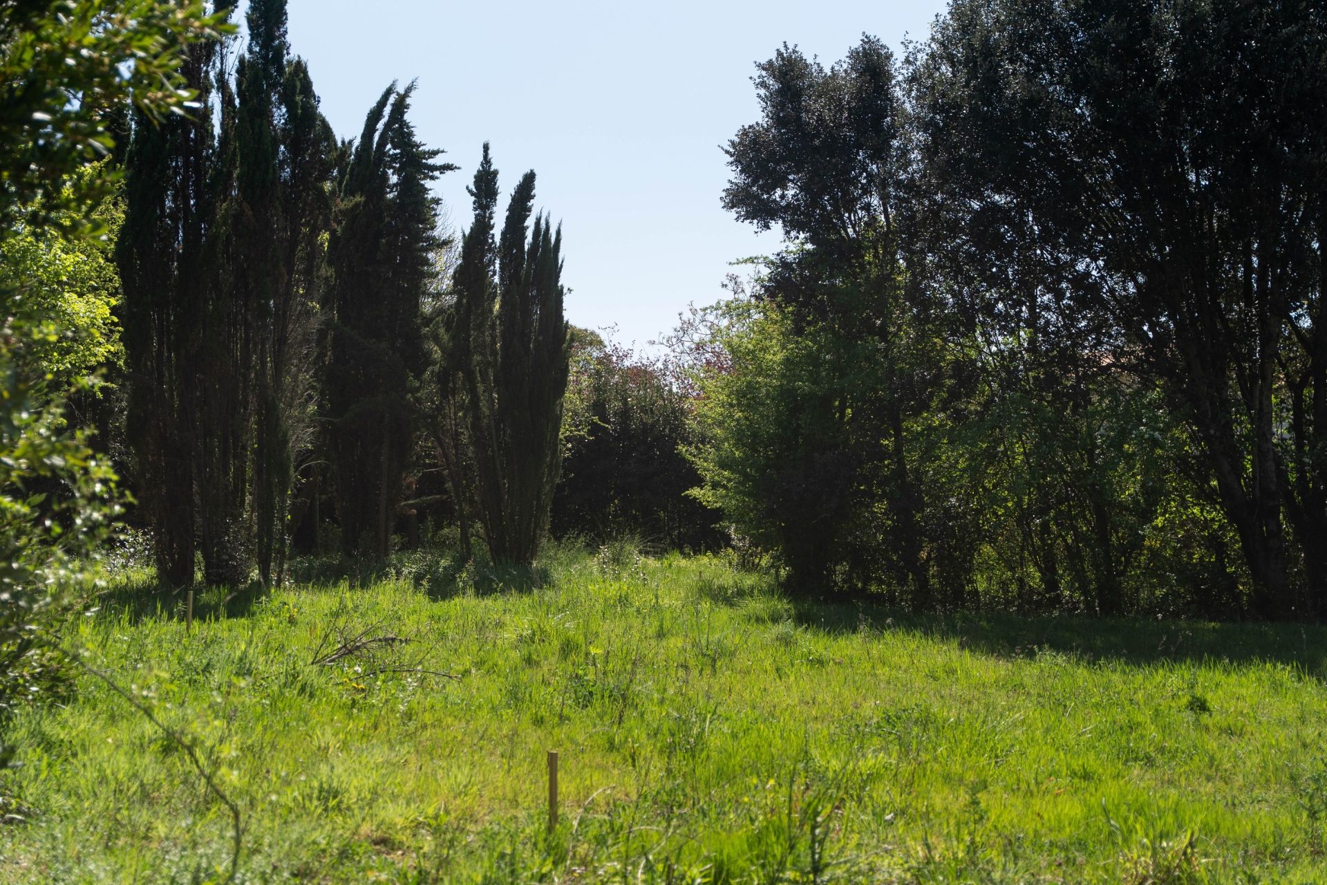 land for sale on VAUX SUR MER (17640)