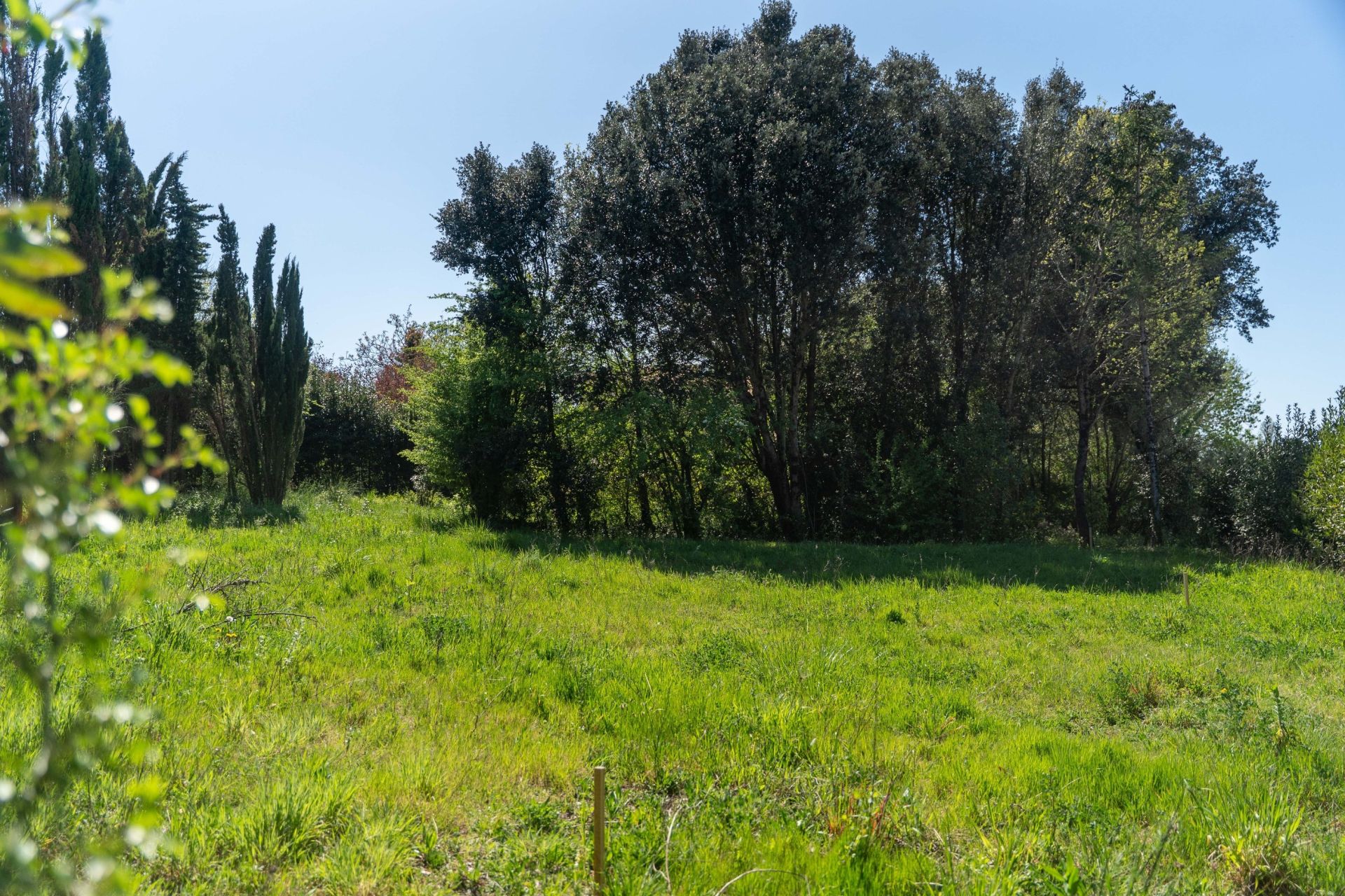 land for sale on VAUX SUR MER (17640)