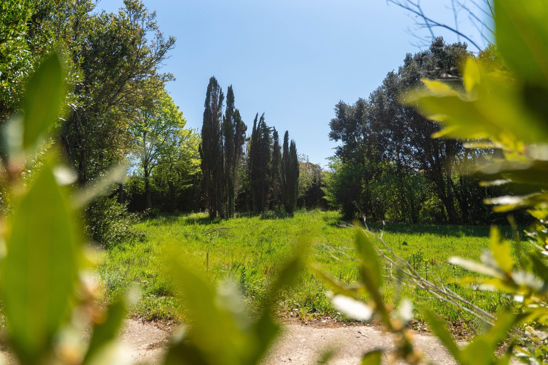 land for sale on VAUX SUR MER (17640)