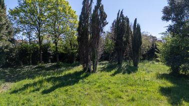 terrain en vente sur VAUX SUR MER (17640)