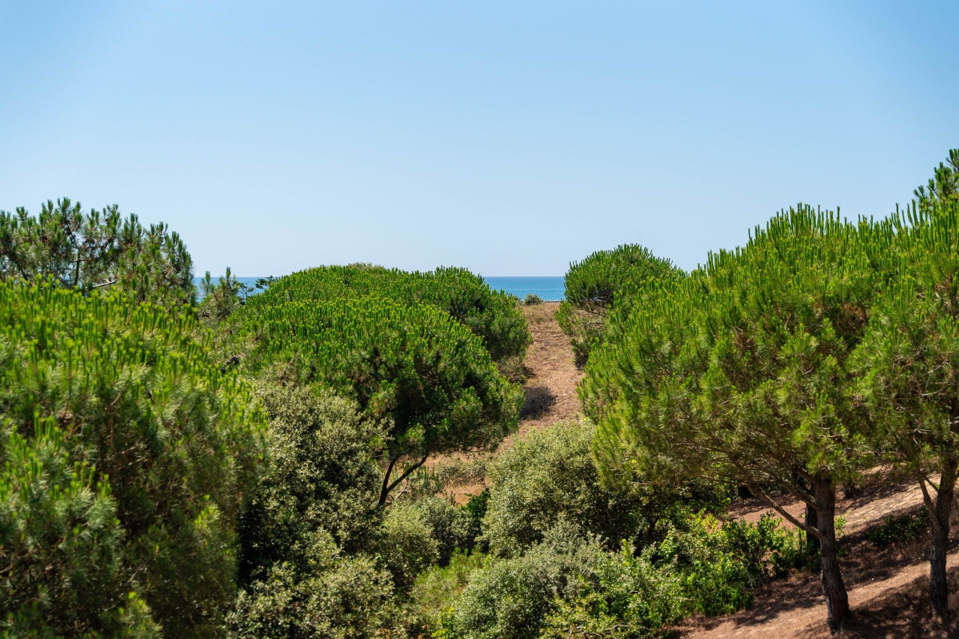 house 6 Rooms for sale on ST GEORGES D OLERON (17190)