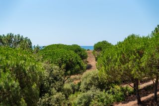 house 6 Rooms for sale on ST GEORGES D OLERON (17190)