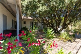 house 6 Rooms for sale on ST GEORGES D OLERON (17190)