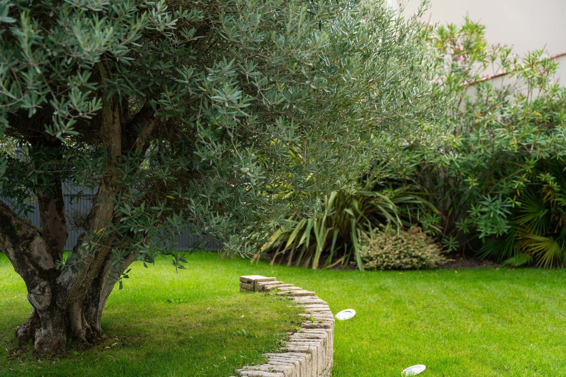 contemporary house 6 Rooms for sale on ST PALAIS SUR MER (17420)