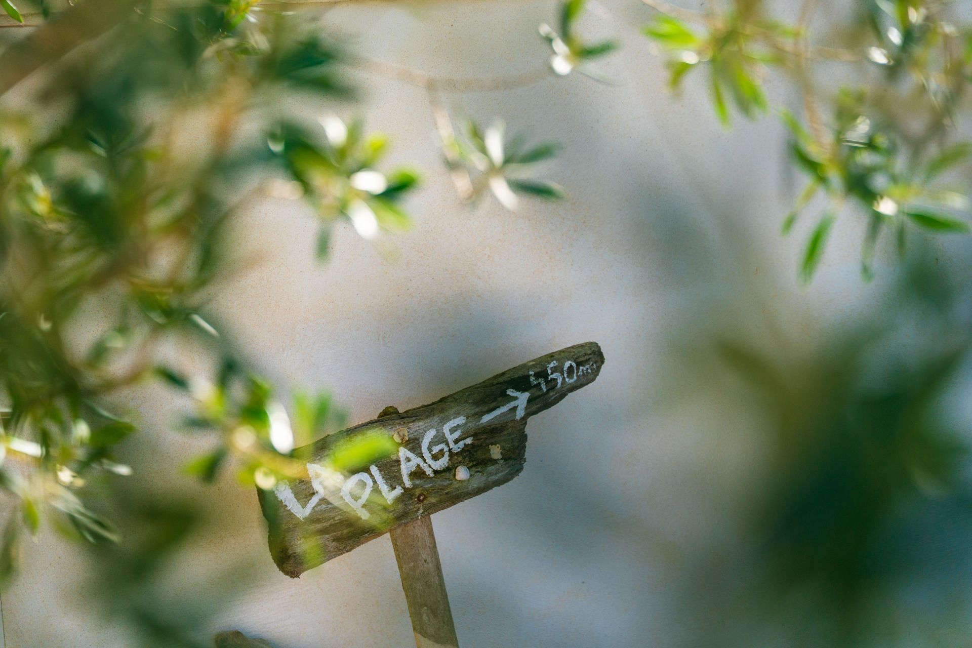 maison 6 Pièces en vente sur ROYAN (17200)