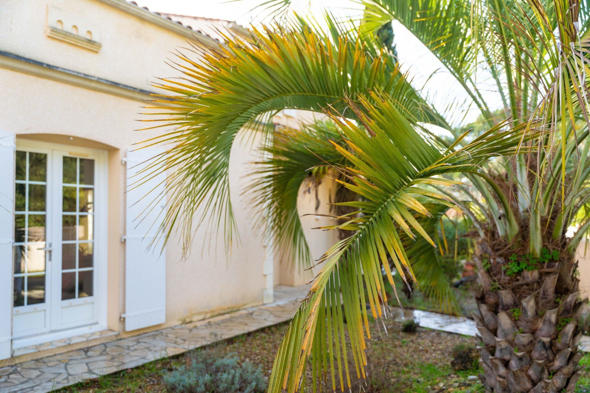 maison 5 Pièces en vente sur ST TROJAN LES BAINS (17370)
