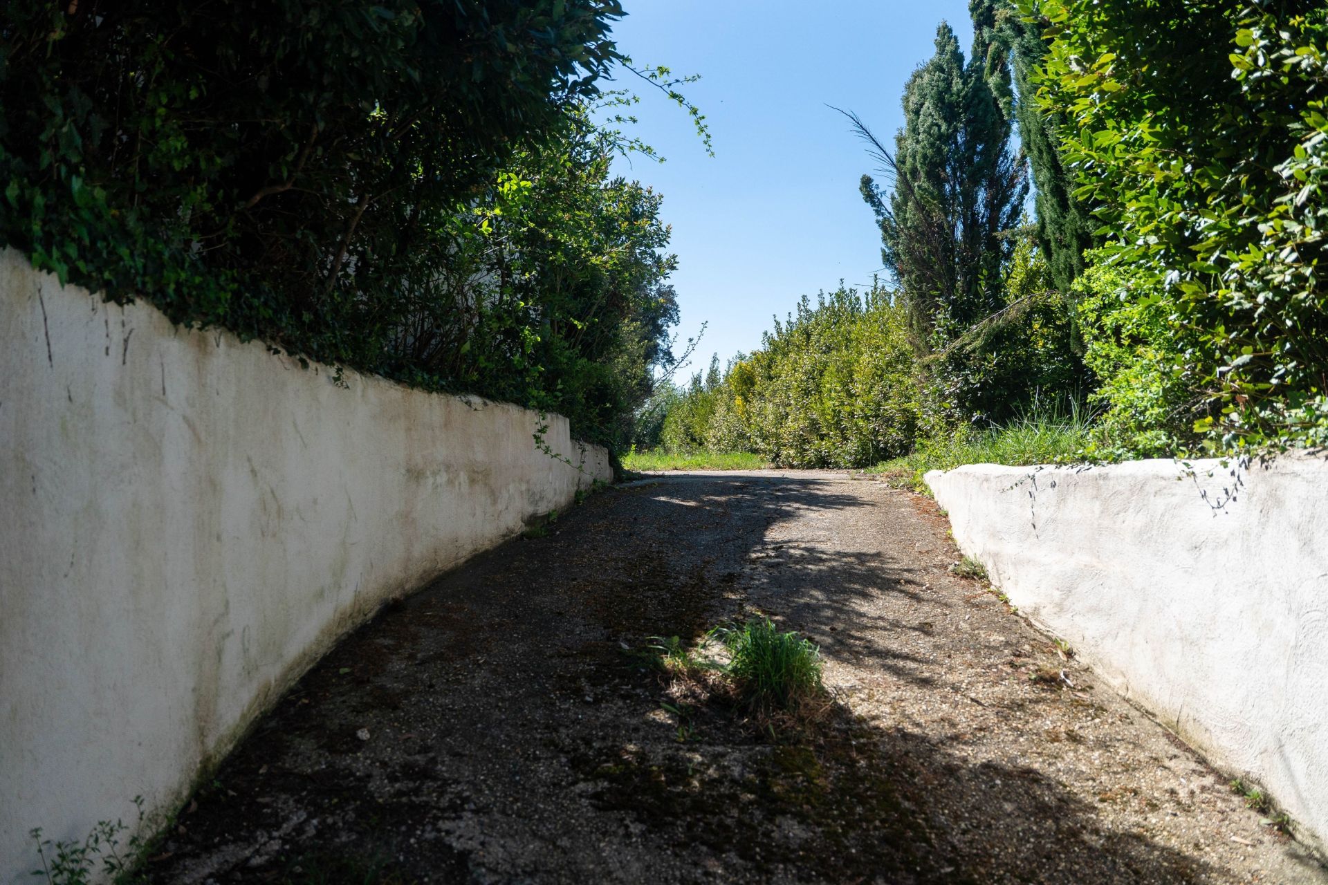 terrain en vente sur VAUX SUR MER (17640)