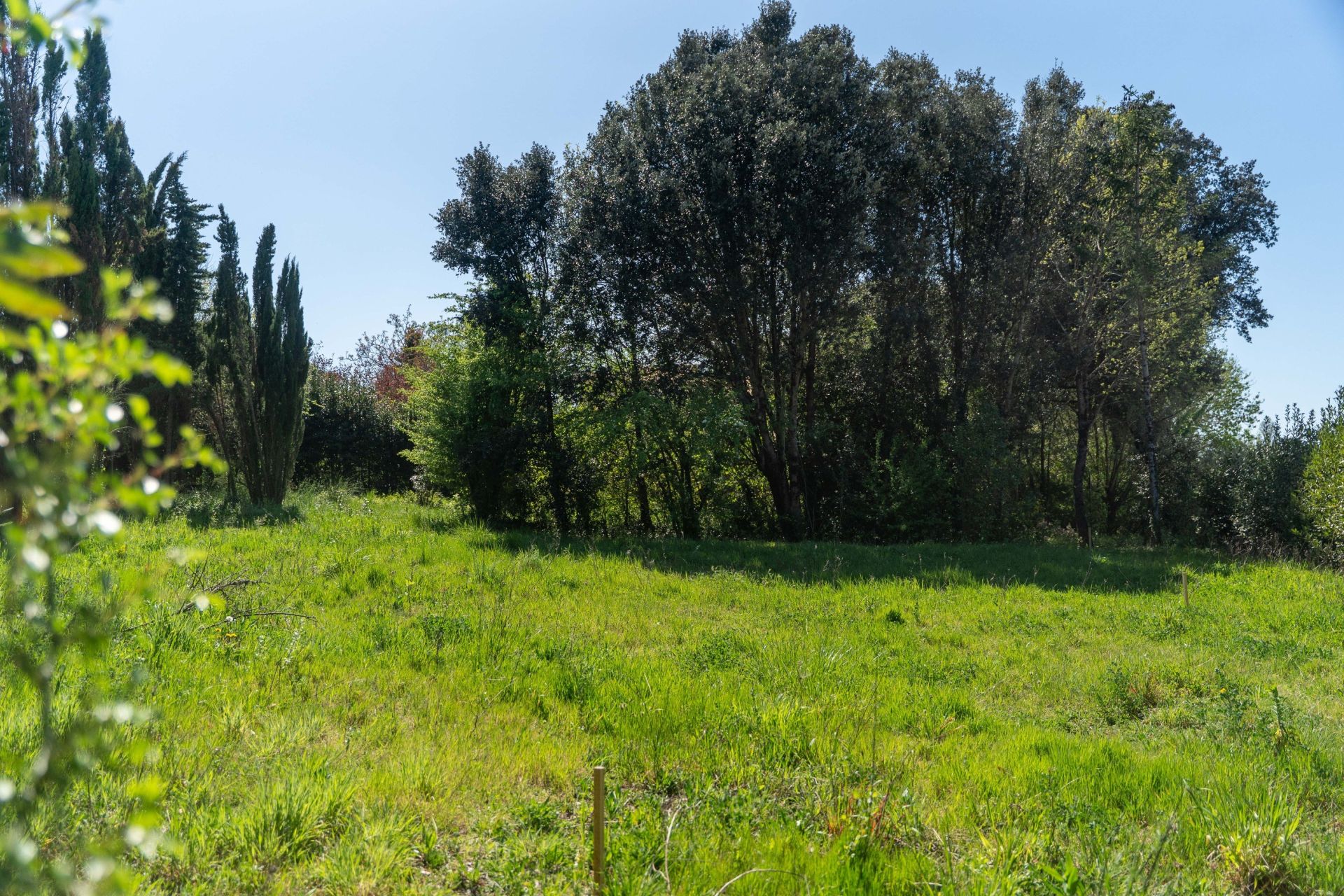 terrain en vente sur VAUX SUR MER (17640)