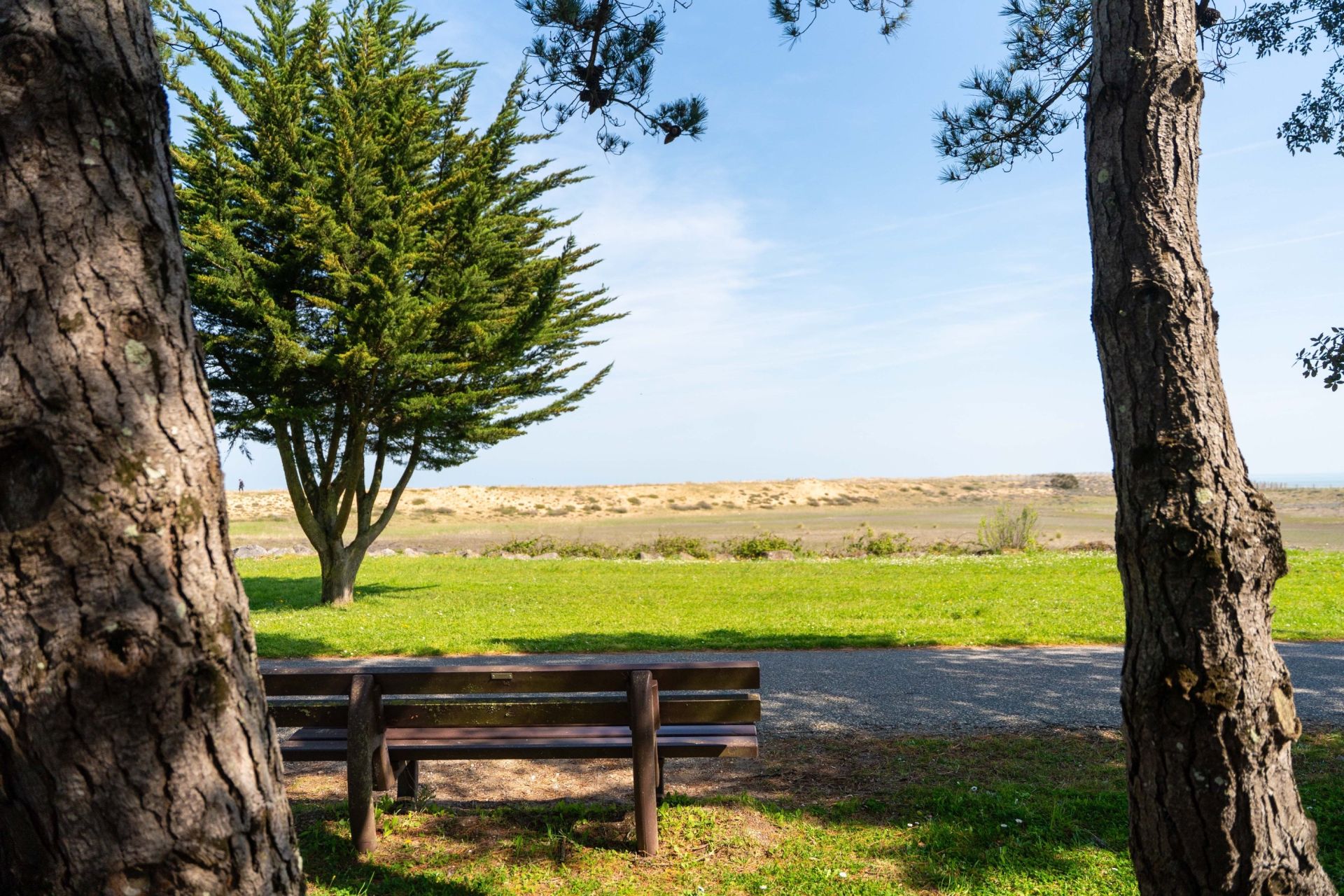 maison 10 Pièces en vente sur LA BREE LES BAINS (17840)