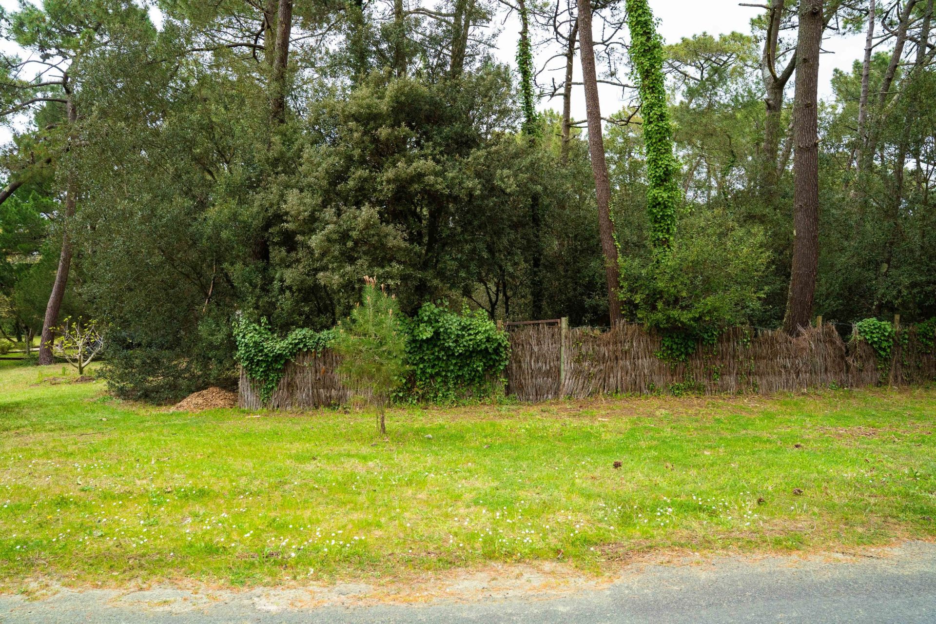 terrain en vente sur LA PALMYRE (17570)