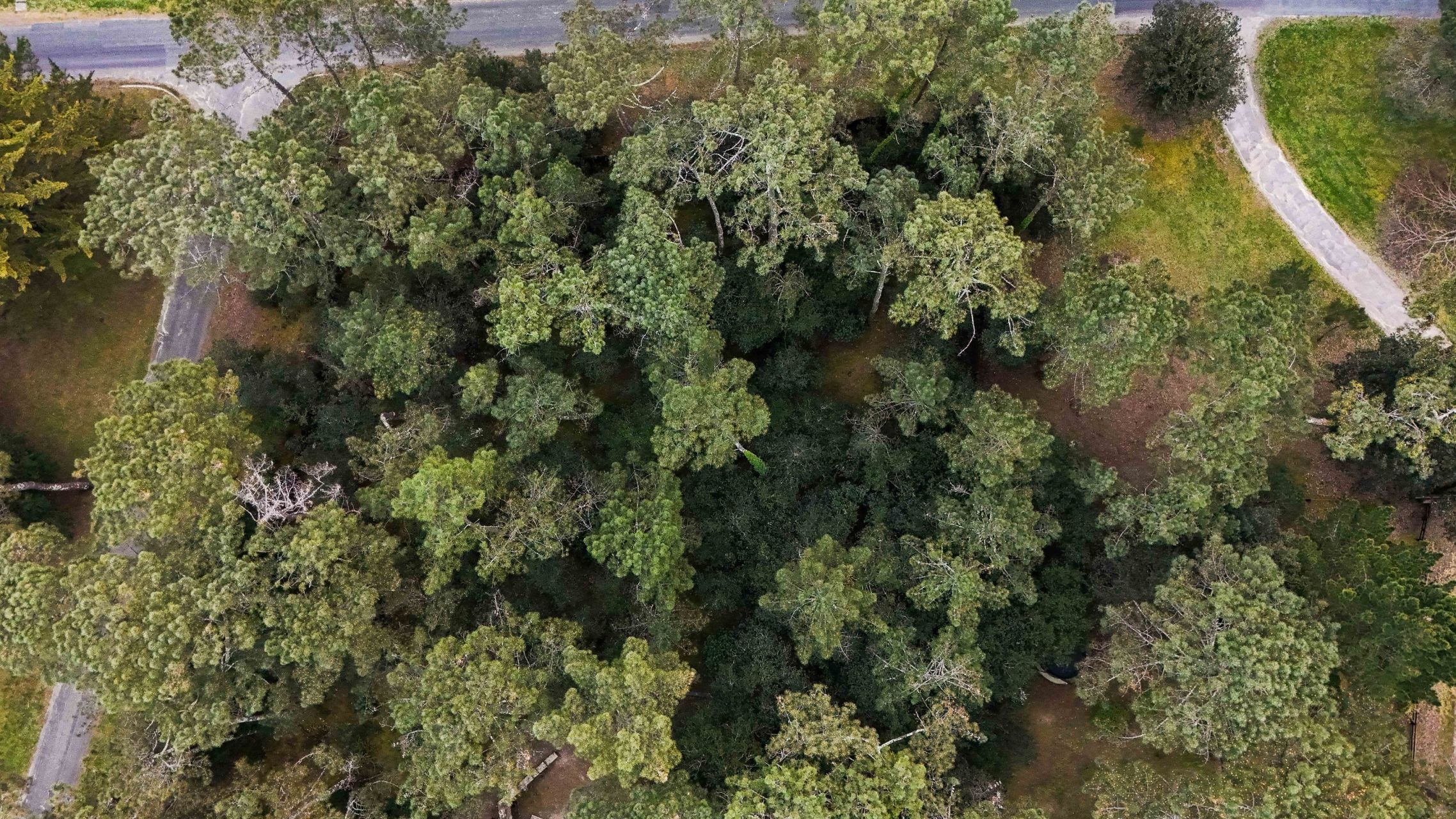 terrain en vente sur LA PALMYRE (17570)