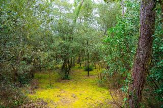 terrain en vente sur LA PALMYRE (17570)