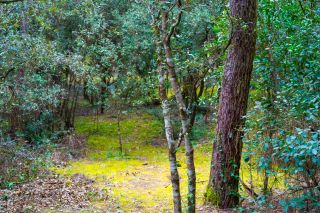 terrain en vente sur LA PALMYRE (17570)