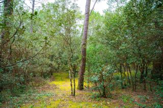 terrain en vente sur LA PALMYRE (17570)