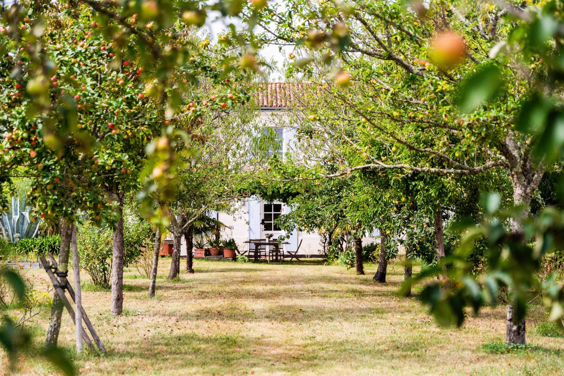 maison 6 Pièces en vente sur ARVERT (17530)