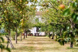 house 6 Rooms for sale on ARVERT (17530)