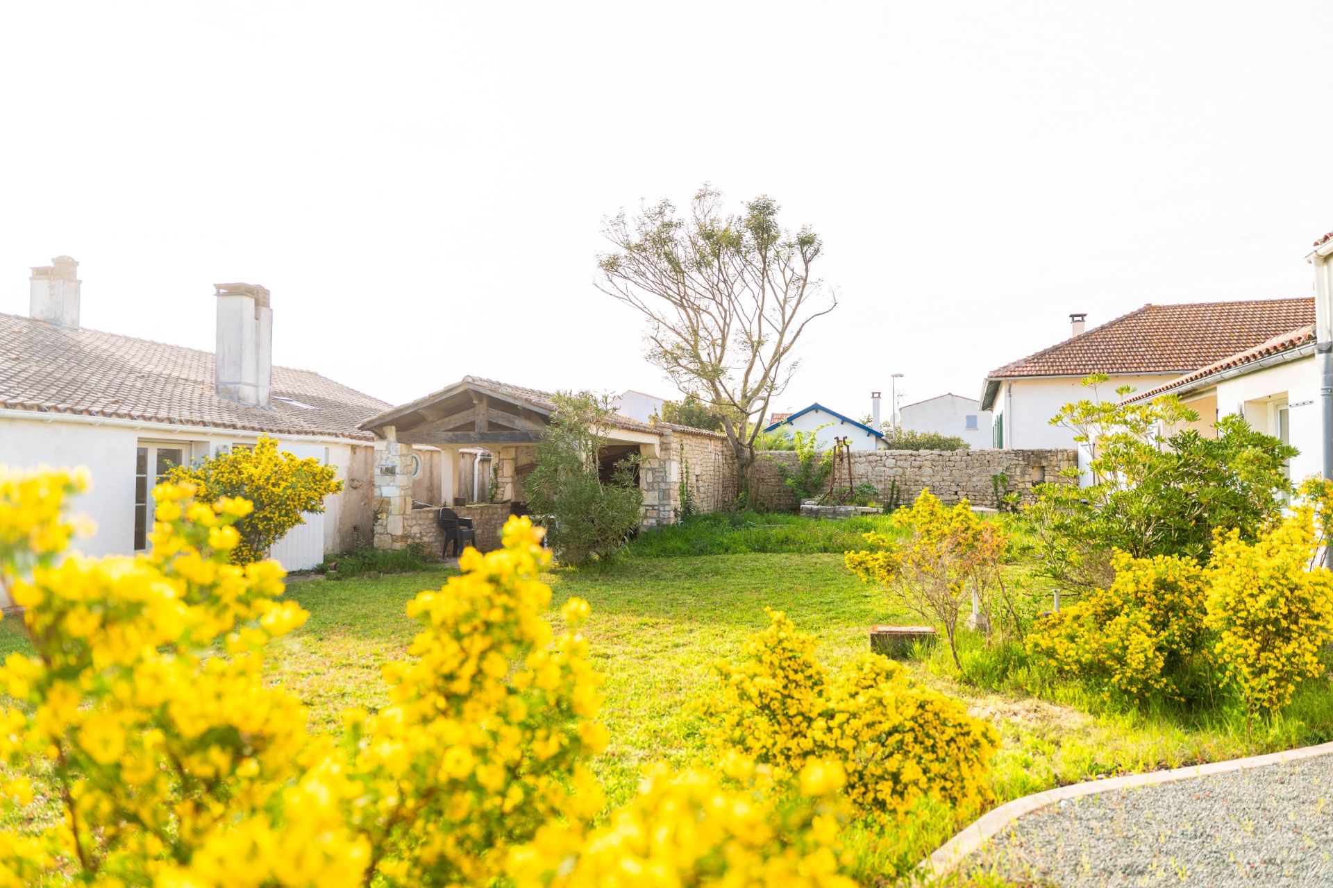 house 14 Rooms for sale on DOMINO (17190)