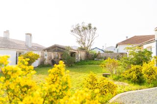 house 14 Rooms for sale on DOMINO (17190)