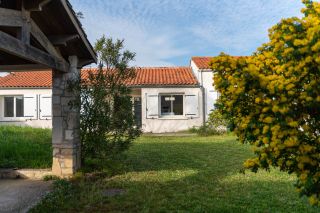 house 14 Rooms for sale on DOMINO (17190)