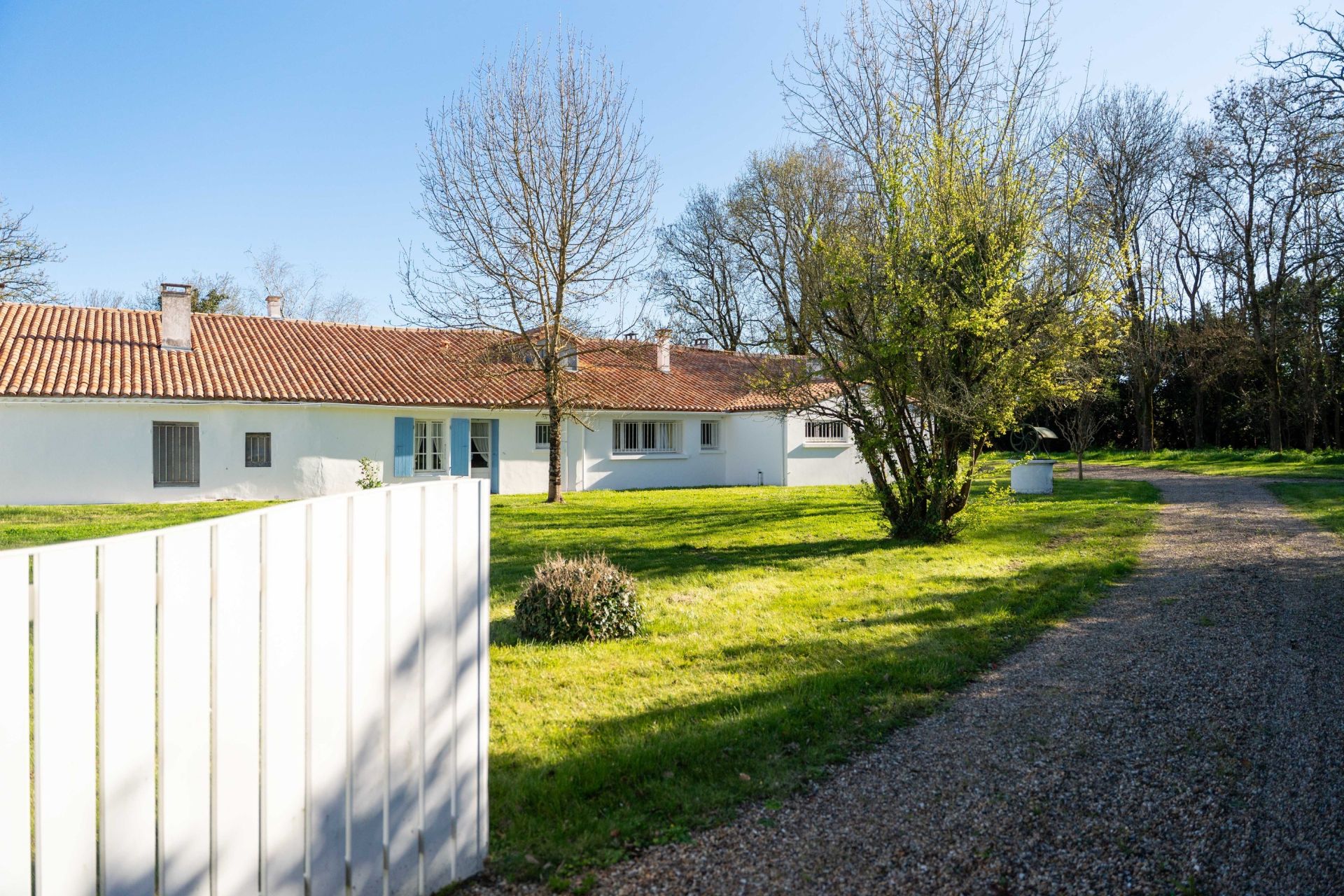 maison 11 Pièces en vente sur BREUILLET (17920)
