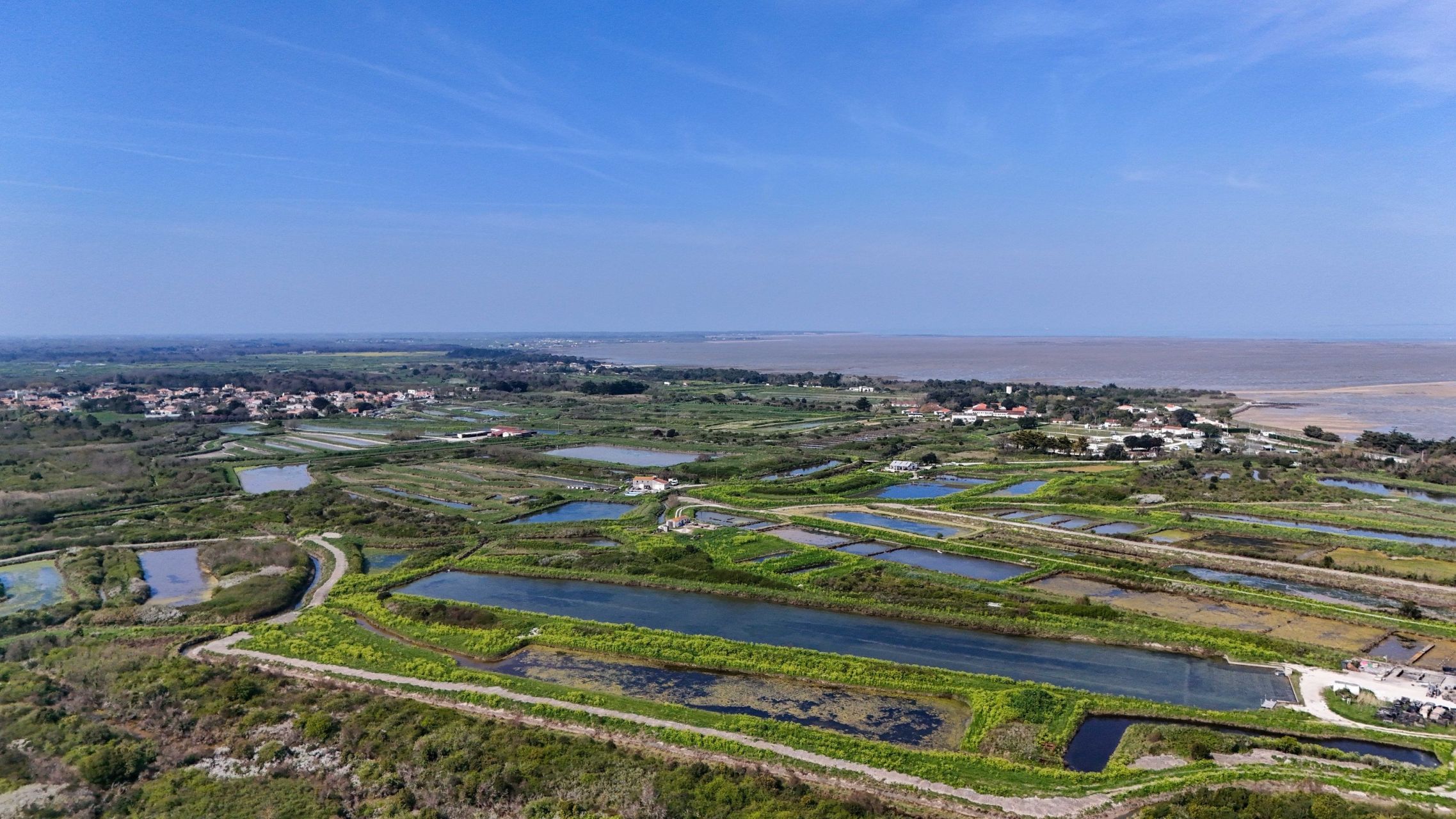 house 10 Rooms for sale on LE CHATEAU D OLERON (17480)