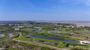 house 10 Rooms for sale on LE CHATEAU D OLERON (17480)