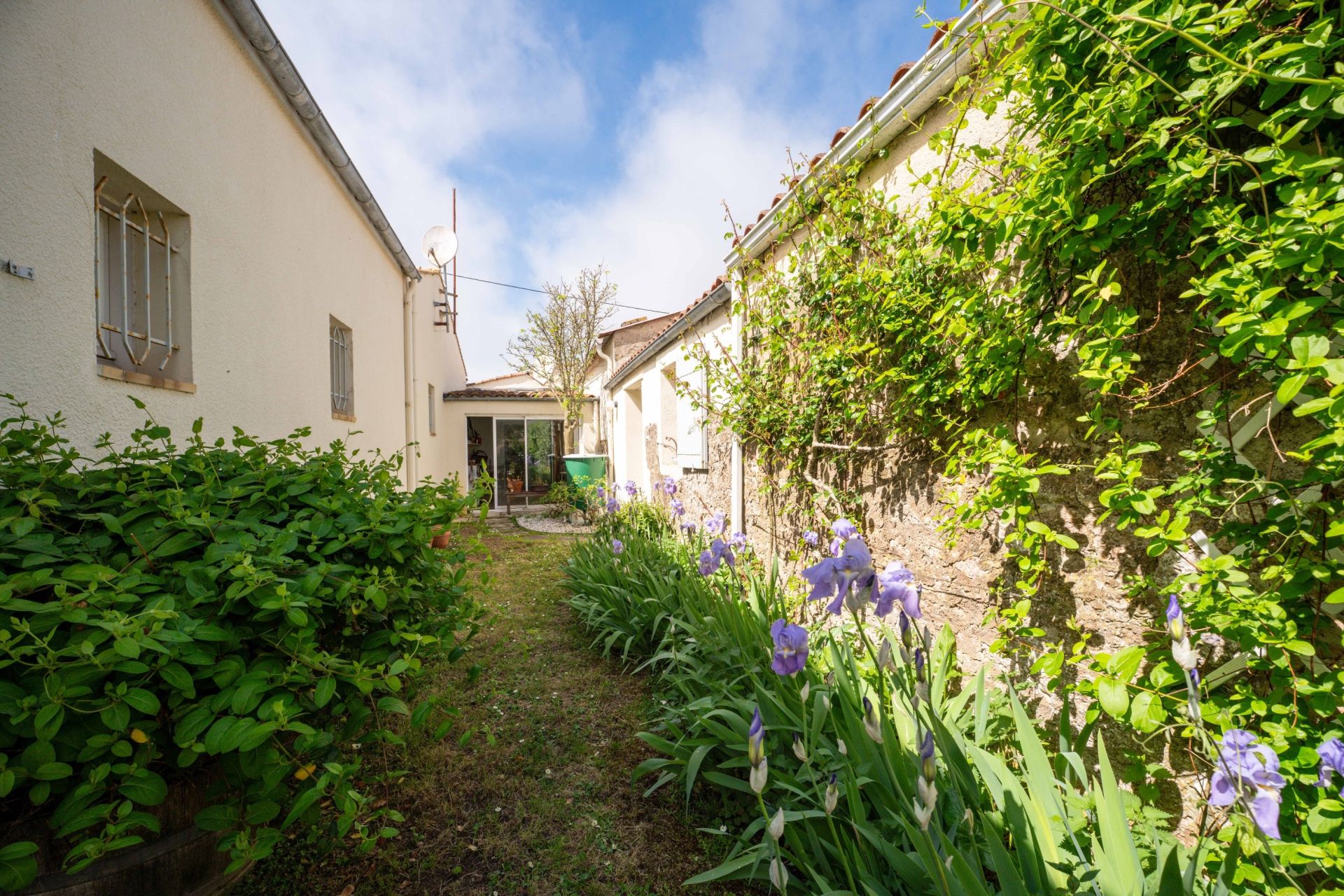 maison 7 Pièces en vente sur ST PIERRE D OLERON (17310)