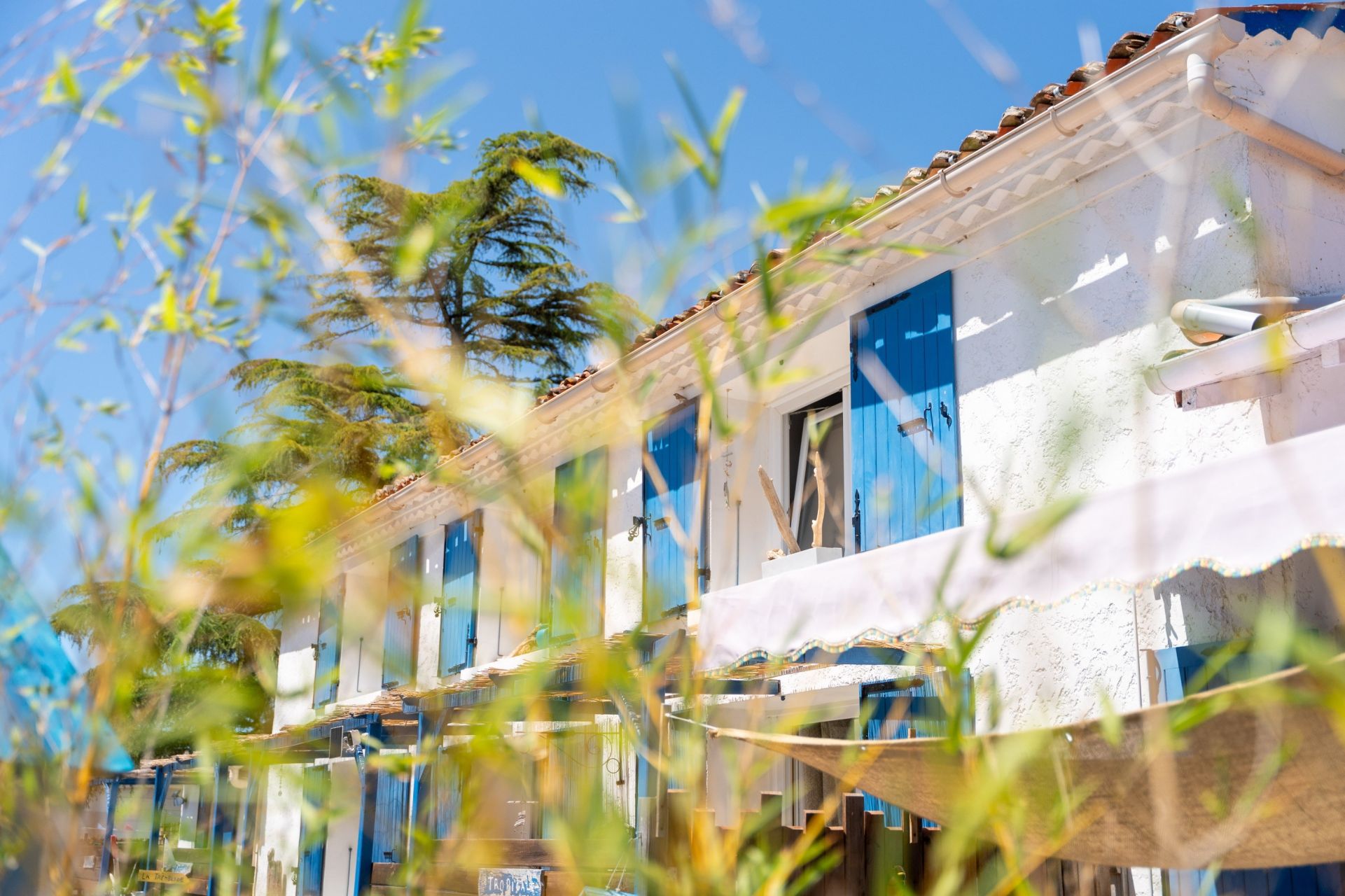 maison 17 Pièces en vente sur ST SULPICE DE ROYAN (17200)