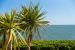 house 12 Rooms for sale on ST PALAIS SUR MER (17420)