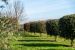 maison 6 Pièces en vente sur ST FORT SUR GIRONDE (17240)