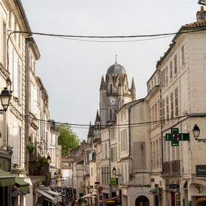 Terres et Vignes