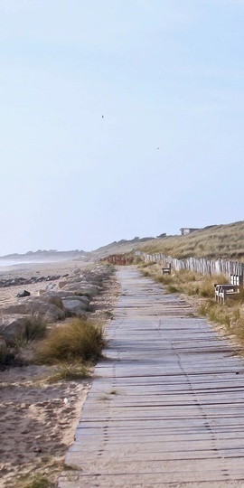 Bord de mer